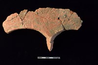 連杯形器藏品圖，第2張